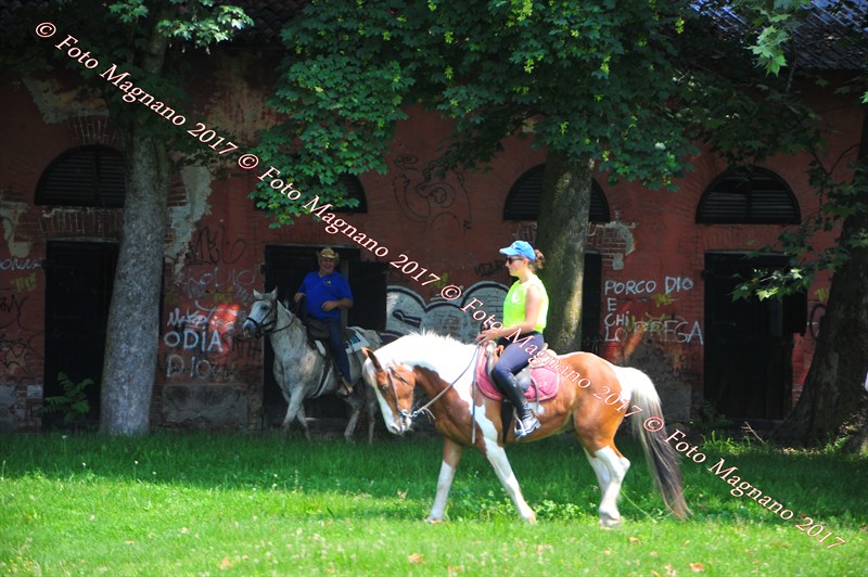 DSC_0928.JPG